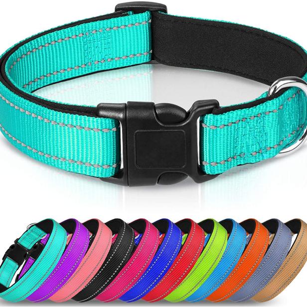 whats the best dog collar