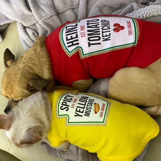 Mustard dog costume clearance
