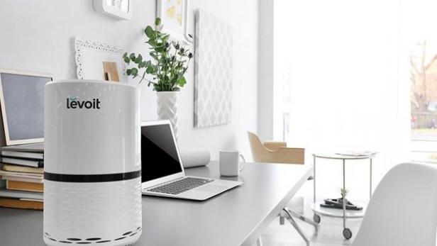 The Best Air Purifiers, Tested by HGTV Editors