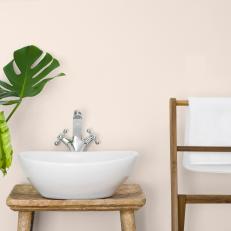 Bathroom interior with white sink, towel hanger and green plant