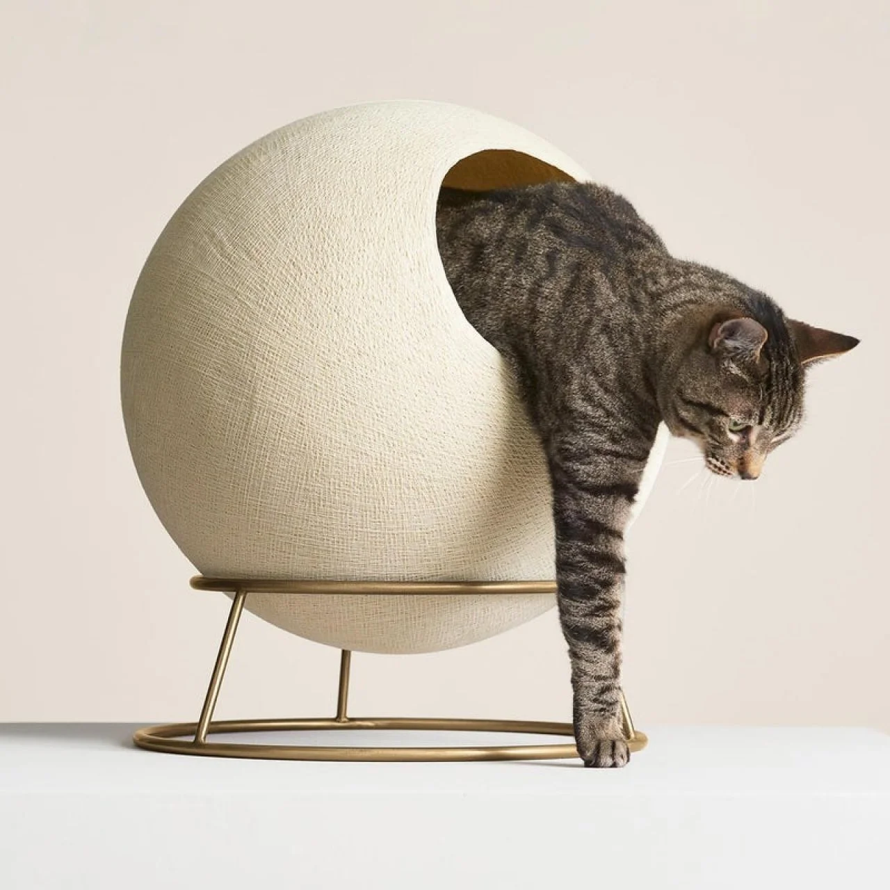 36 Best Stylish Cat Furniture 2022 HGTV