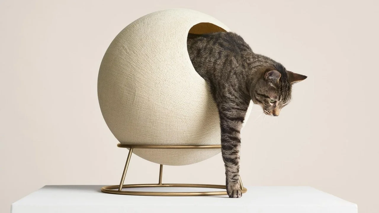 Draco 60 ecoflex cat tree top