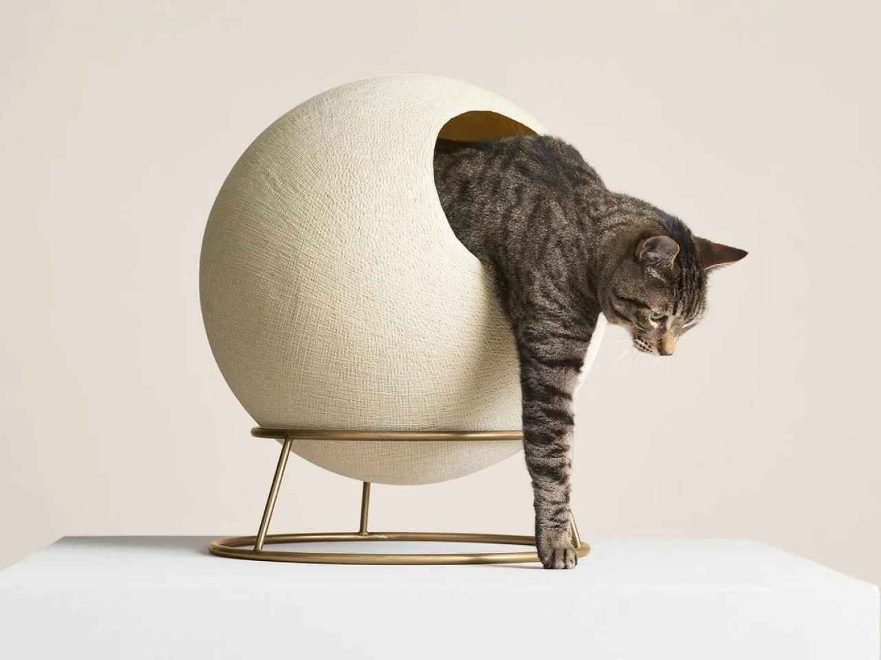 36 Best Stylish Cat Furniture 2022 HGTV