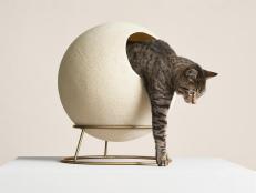 Say hello to cat furniture that actually fits your home's style.