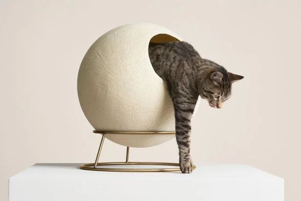 Best type of furniture with cats clearance