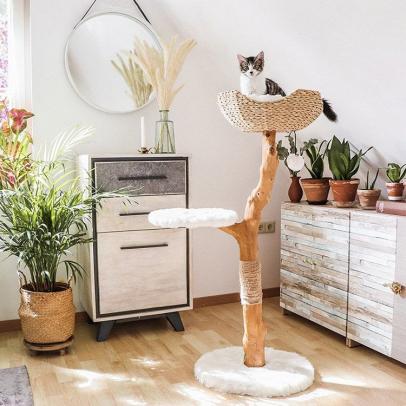 Cleopatra cat tree discount