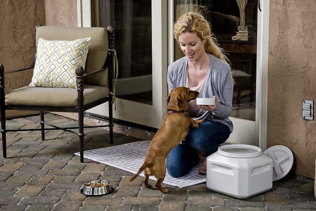 The 7 Best Dog Food Storage Containers of 2023, Tested and Reviewed