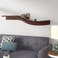 36 Best Stylish Cat Furniture 2022 HGTV
