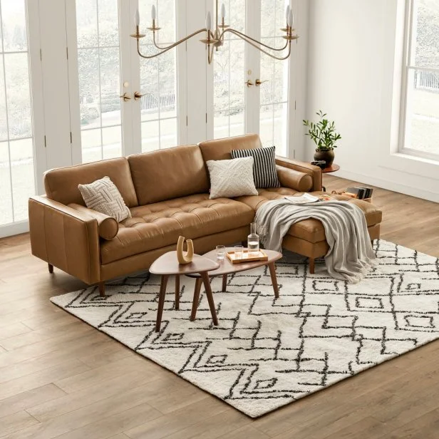 Best dog proof sofa sales