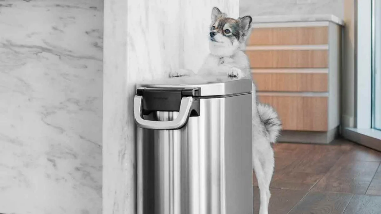 Dog food trash can shop