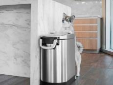 Keep your pet's food fresh and free from pests with a high-quality dog food storage container.