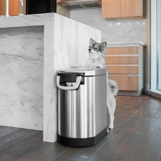 7 Best Dog Food Containers 2023 HGTV