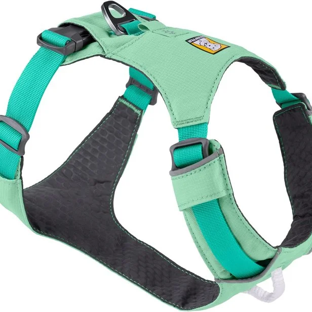 6 Best Dog Harnesses 2024 HGTV Top Picks HGTV