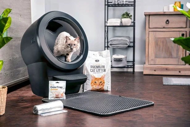 Best cat litter robot deals