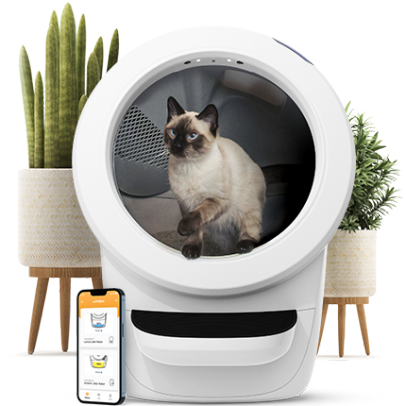 Litter robot sweepstakes sale