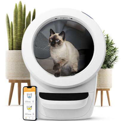 Litter Robot Review 2022 | Why I Love Automated Litter Box by Robot | HGTV