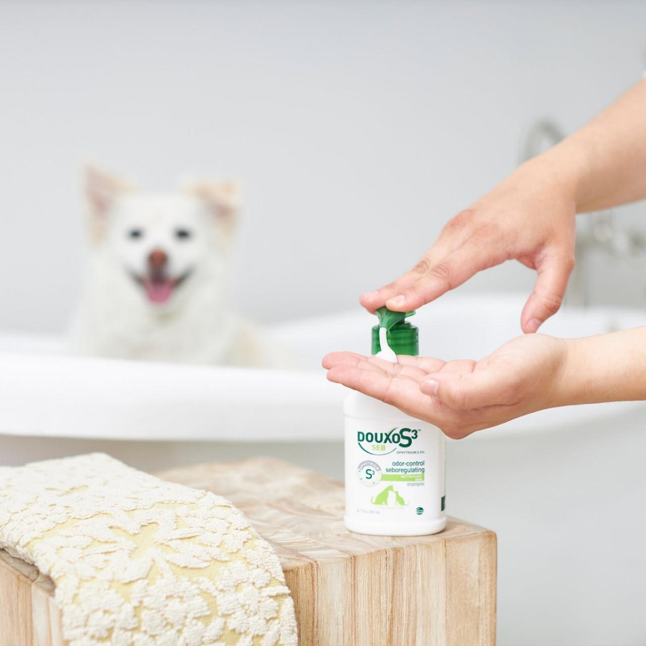 The Best Dog Shampoos for 2024 HGTV