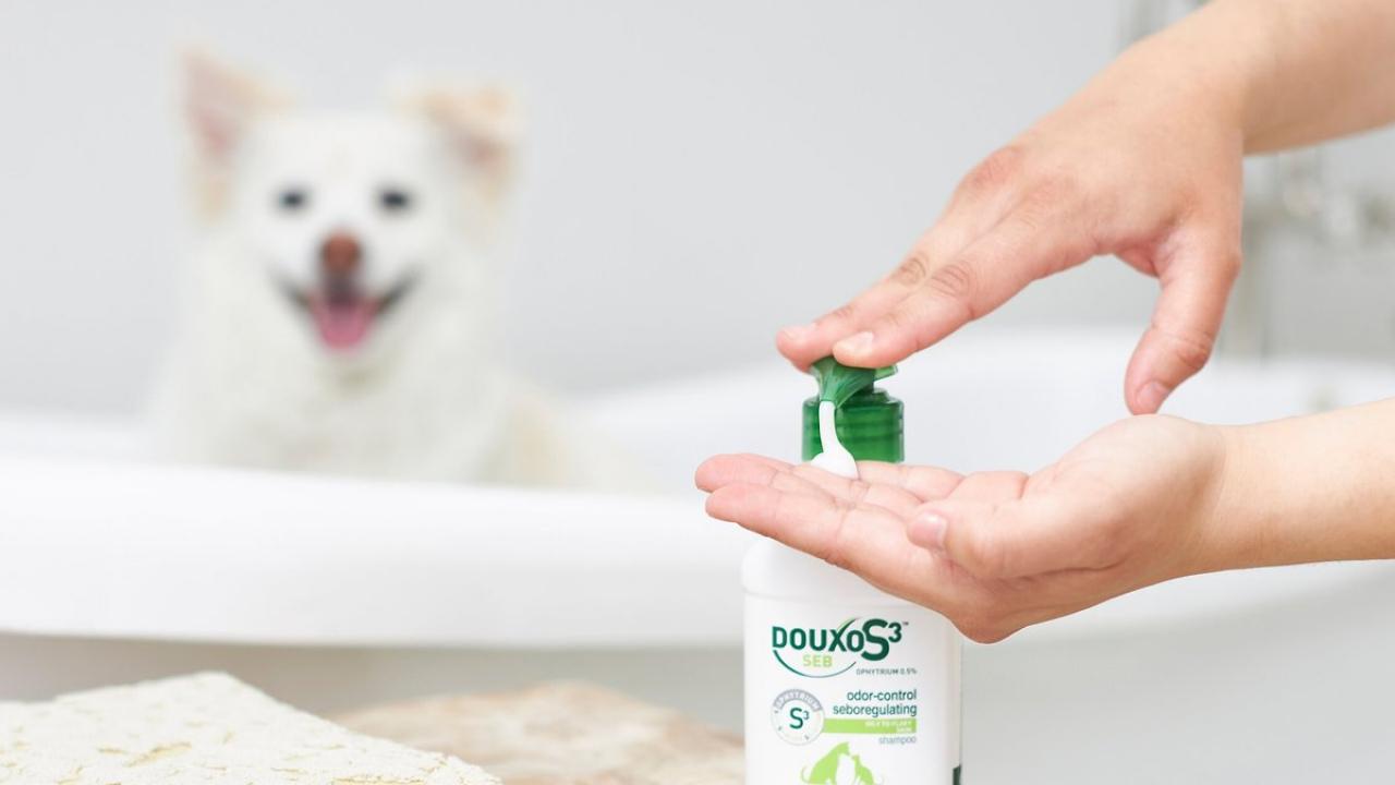 Top paw de skunk shampoo online