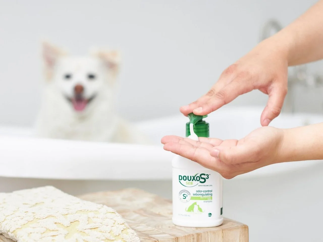Homemade dog shampoo for mange top