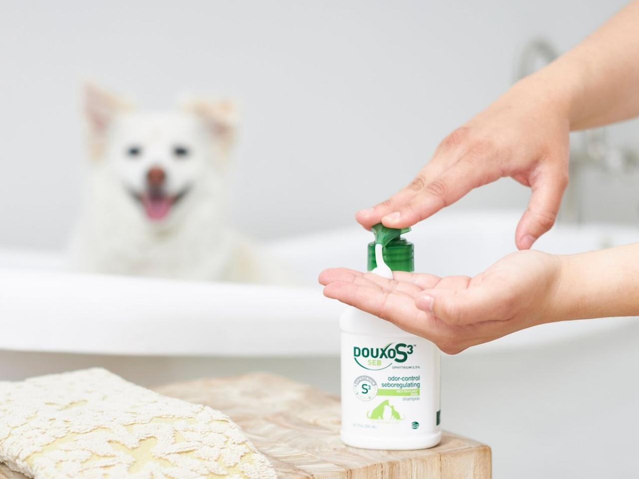 Best stinky dog shampoo best sale