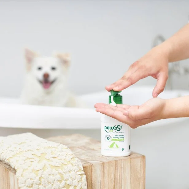 what is a good brand of dog shampoo