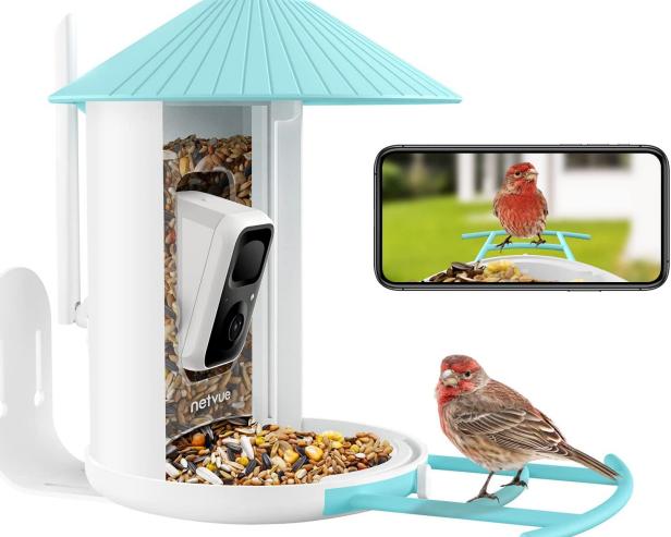 26 Best Gifts for Bird Lovers 2022 | HGTV