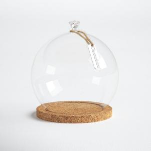 Stellan Glass Cloche