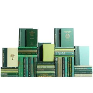 Boxwood Book Wall