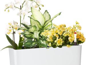 <center>The Best Self-Watering Planters for Your Home