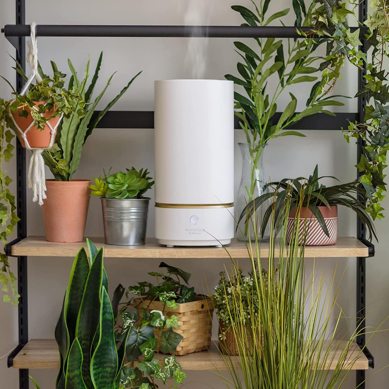 Humidifier thanksgiving sale on sale