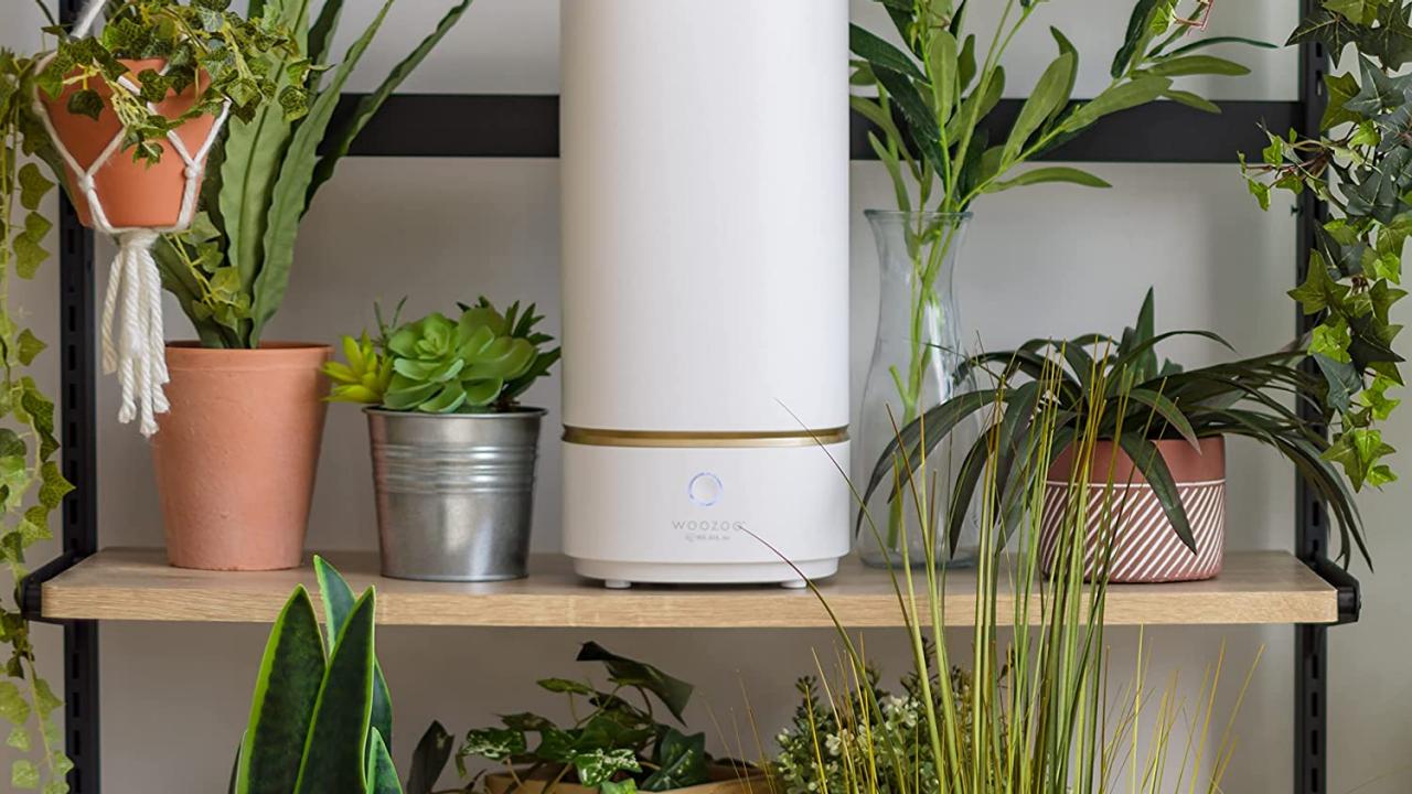 Sale on hot sale humidifiers