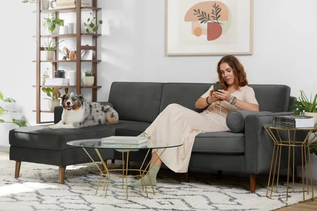Burrow couch scratch resistant hotsell