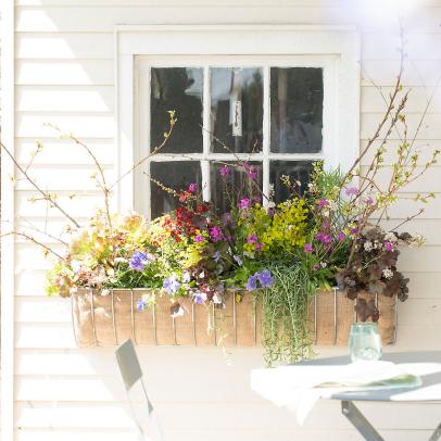 10 Best Window Box Planters for Every Style