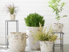 Perk up your patio or indoor space no matter your budget with these stylish planters and pots.