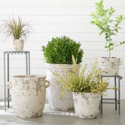 58 Best Pots and Planters for Every Style and Budget