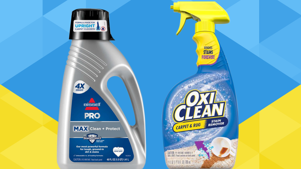 5 Best Carpet Stain Removers 2024 Reviewed HGTV