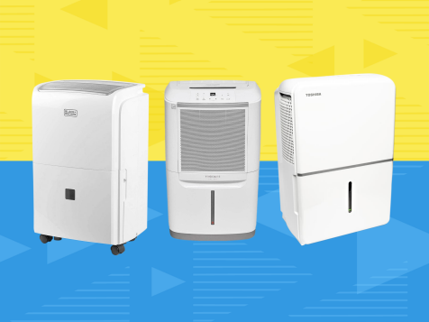 5 Best Dehumidifiers of 2024, Tested and Reviewed