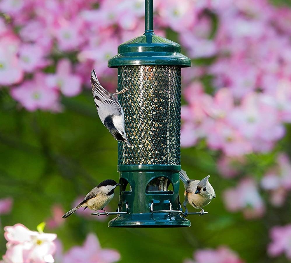 Hanging Metal Spring Bird Feeder Seed Container Garden/Outdoor Feeding Station 