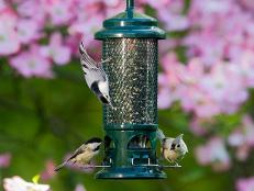 Want to attract songbirds to your yard and garden? Check out our recommendations for the best bird feeders, including window feeders, stylish handmade feeders, squirrel-deterring feeders and more.