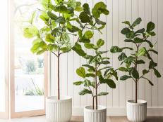 Add natural beauty to your home with these must-shop faux plants, flowers and trees — no water needed.