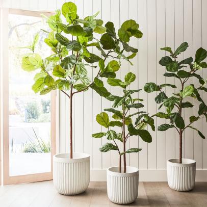 12 Faux Plants That Actually Look Real