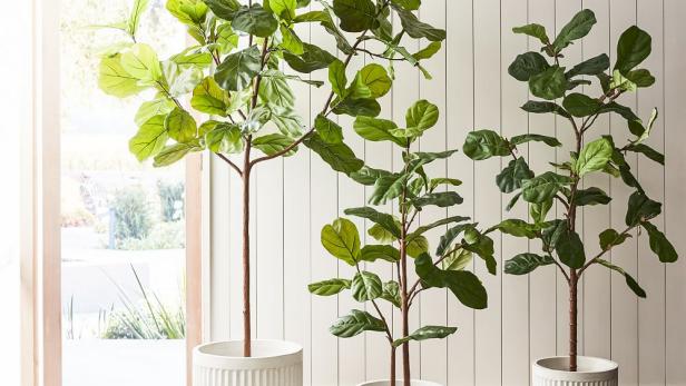 12 Faux Plants That Actually Look Real