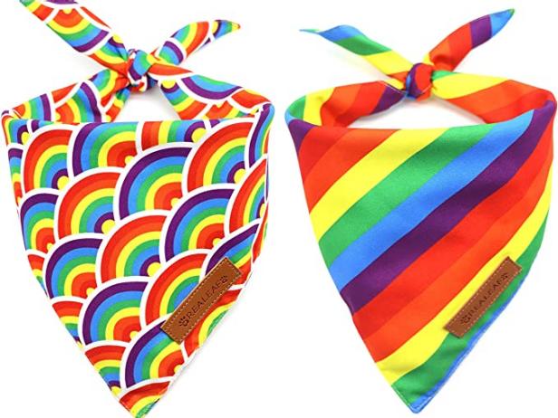 20 Rainbow Products for Pride Month 2023 | Decor Trends & Design News ...