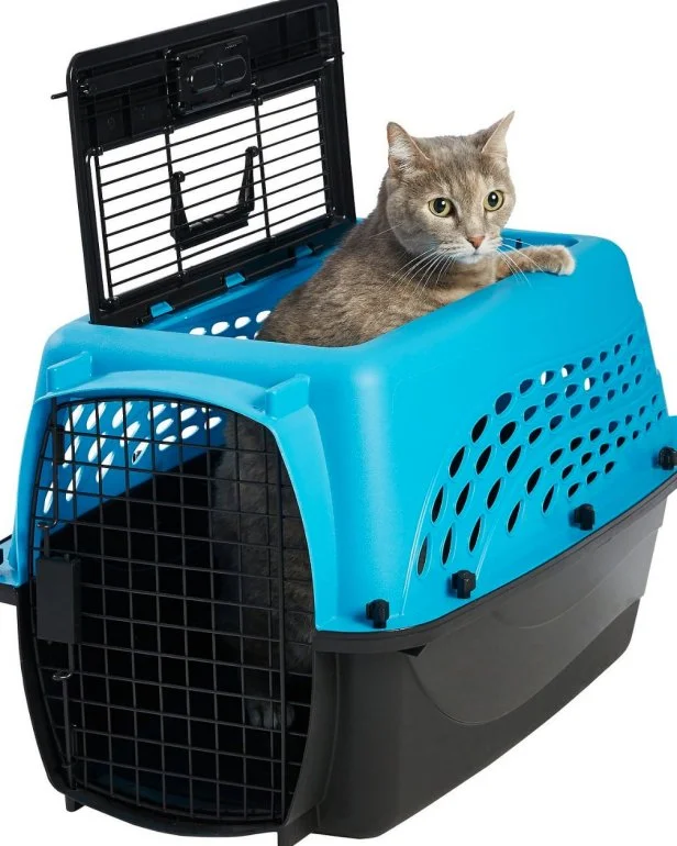 Best cat carrier for vet visits shop