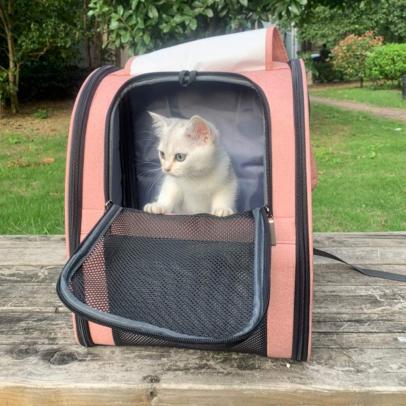 12 Best Cat Carriers of 2022