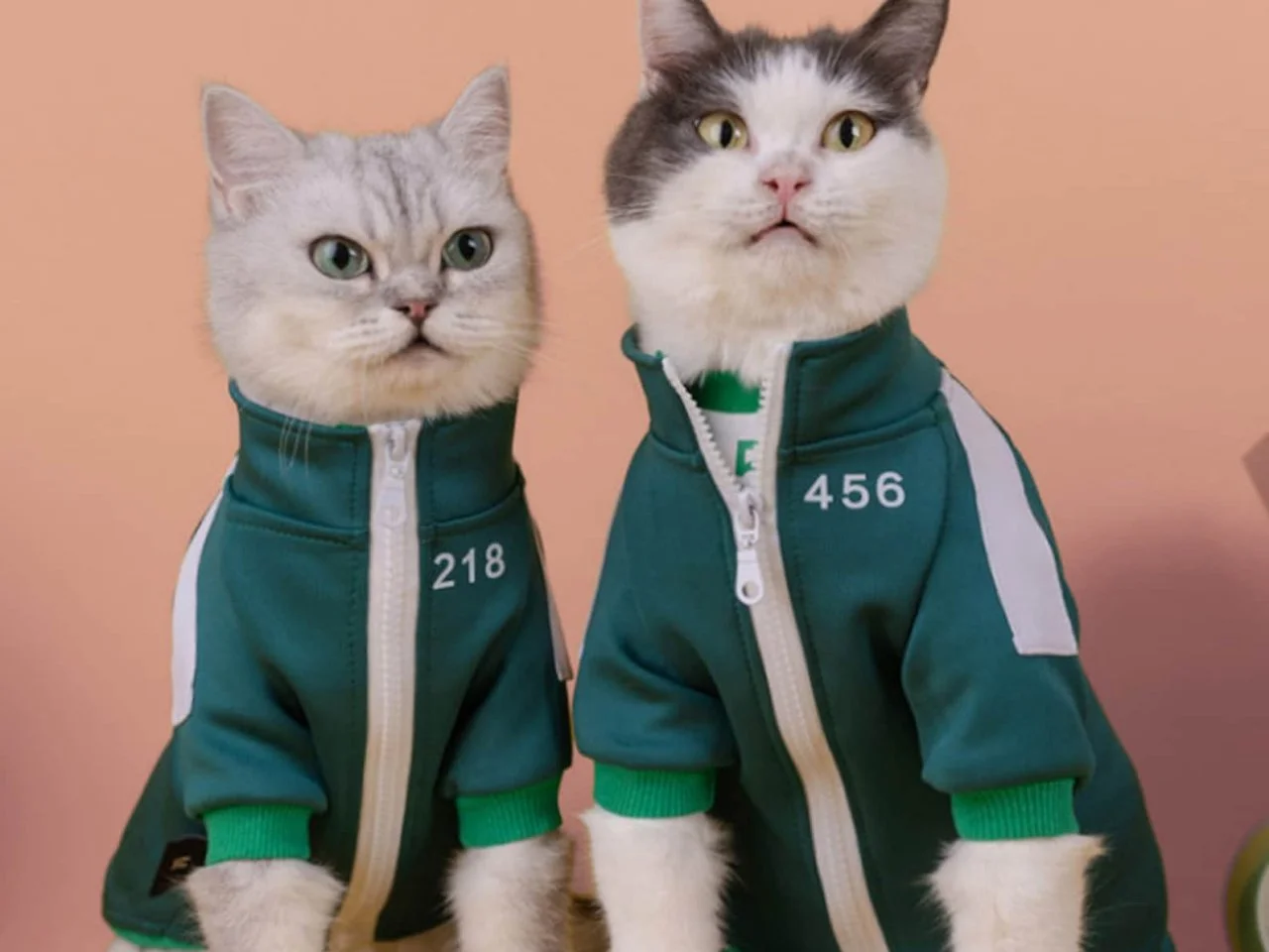Feline costume outlet