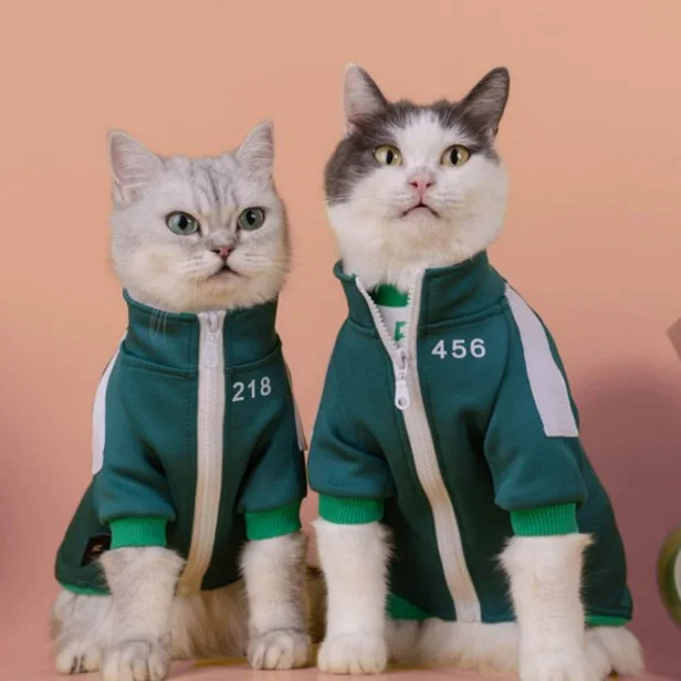 25 Best Pet Costumes for Dogs and Cats in 2022 HGTV