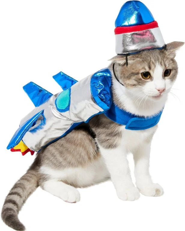Kitty costumes for cats new arrivals