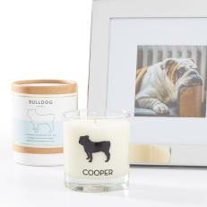 76 Best Inexpensive And Unique Gifts for Dog Lovers In 2023