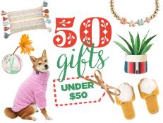 The editors picked their favorite 50 gifts under $50. Find something fun (and affordable) for everyone on your list!